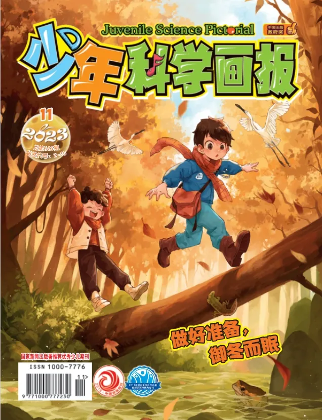 青少年科技前沿杂志,青少年科技报纸电子版 青少年科技前沿杂志,青少年科技报纸电子版