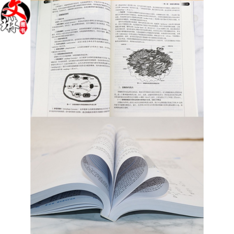 医学院生命科学学什么,医学院生命科学学什么课程 医学院生命科学学什么,医学院生命科学学什么课程