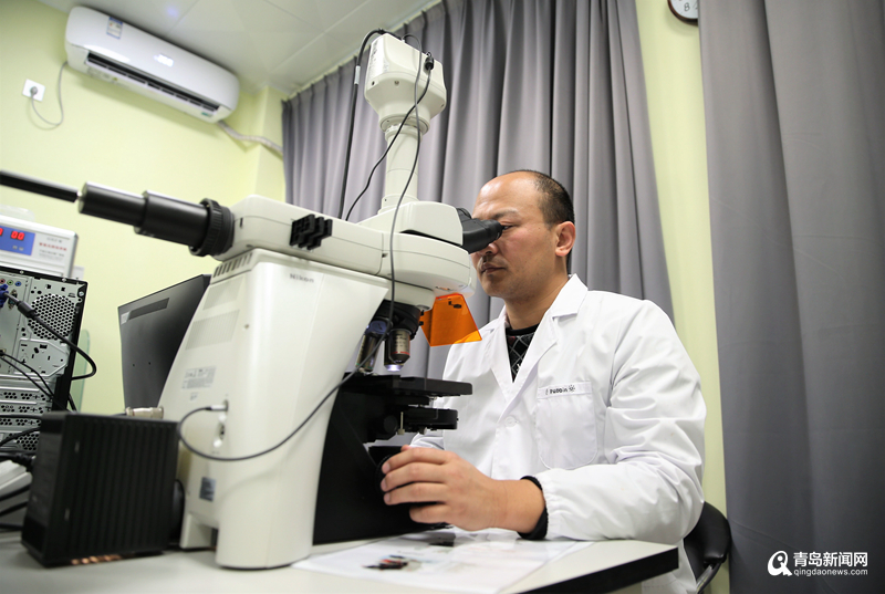 生命科学博士后出路,生命科学专业博士毕业去向 生命科学博士后出路,生命科学专业博士毕业去向