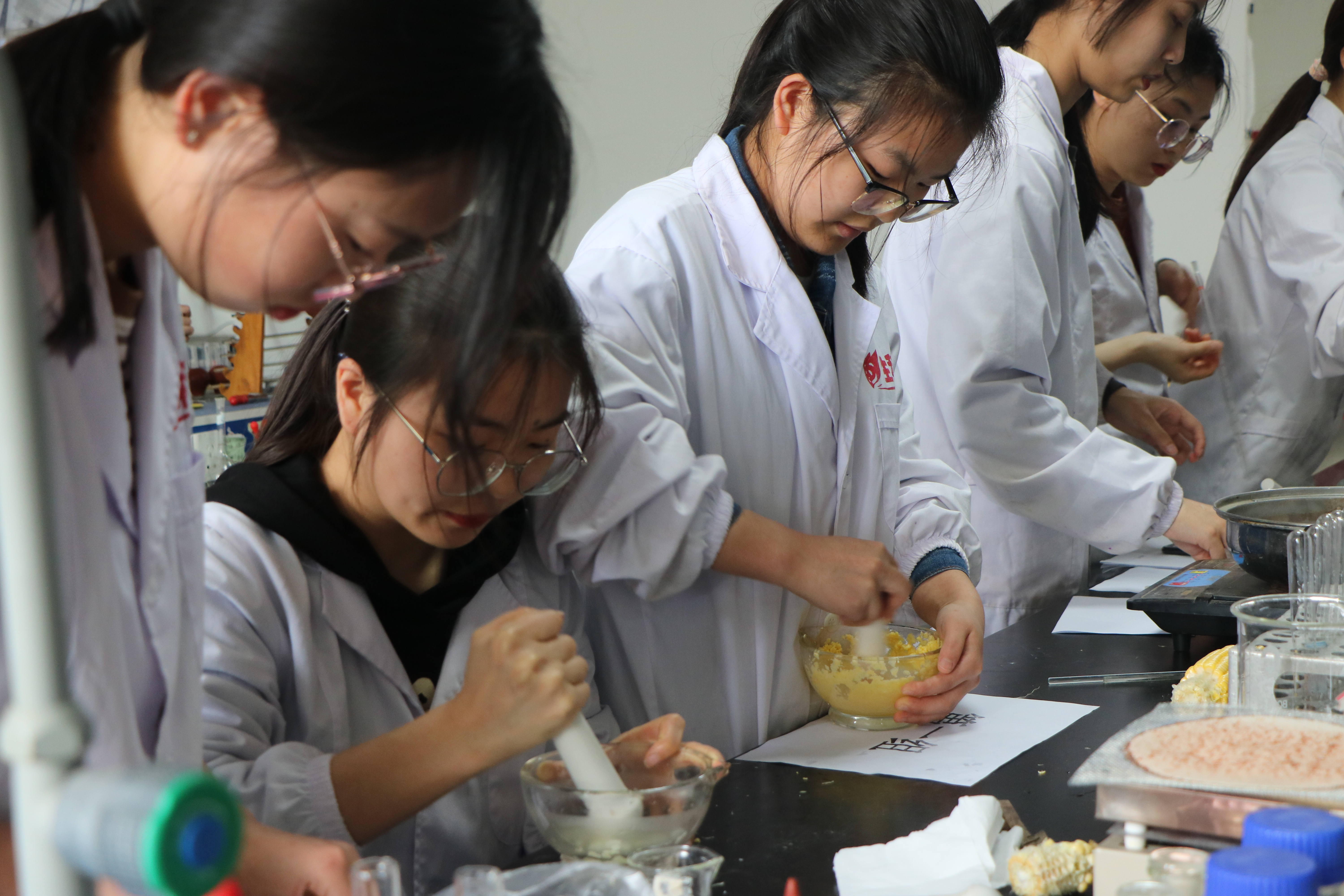 意和四元生命科学,意和医学检验实验室 意和四元生命科学,意和医学检验实验室