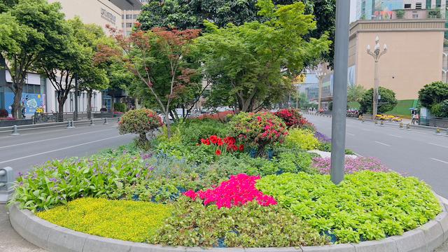 花卉科技前沿研究报告,花卉科技前沿研究报告总结