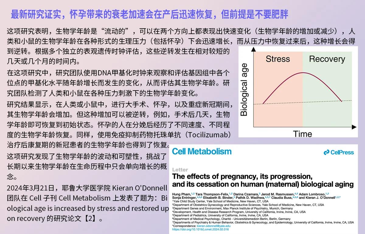 生命科学高中论文,生命科学高中论文怎么写