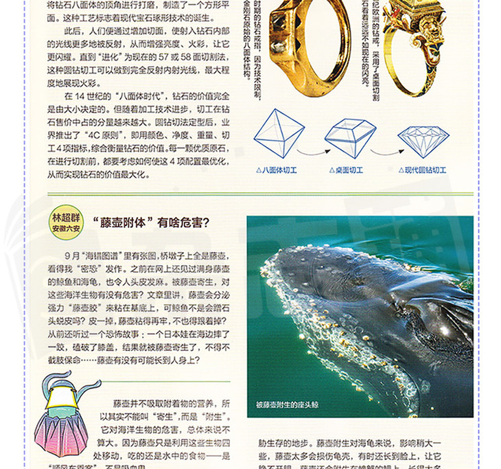 万物杂志天文科普,万物杂志2026全年刊 万物杂志天文科普,万物杂志2026全年刊