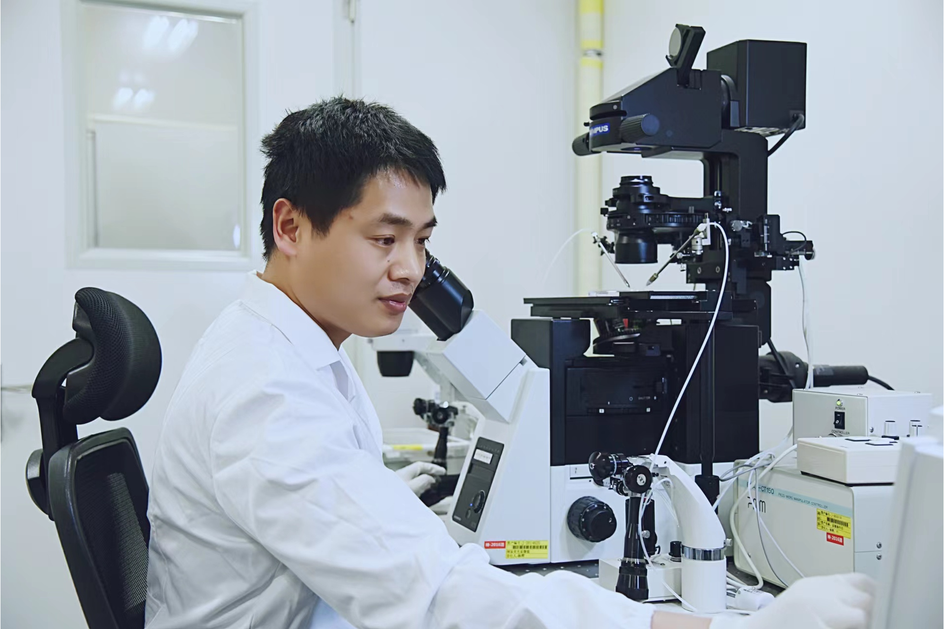 生命科学王志勇教授,生物科学王智教授简历