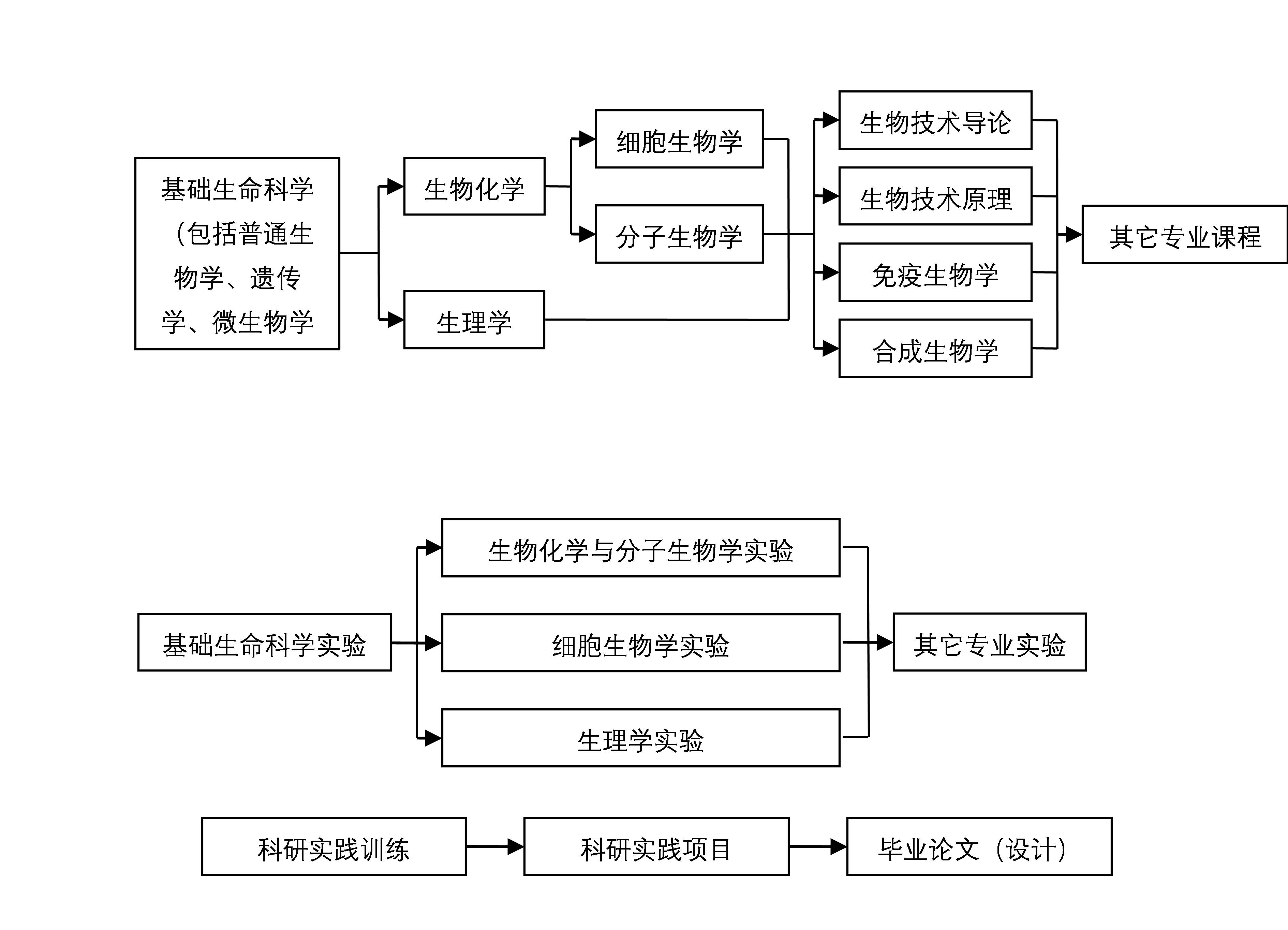 生命科学概论知识点,生命科学包含哪些内容