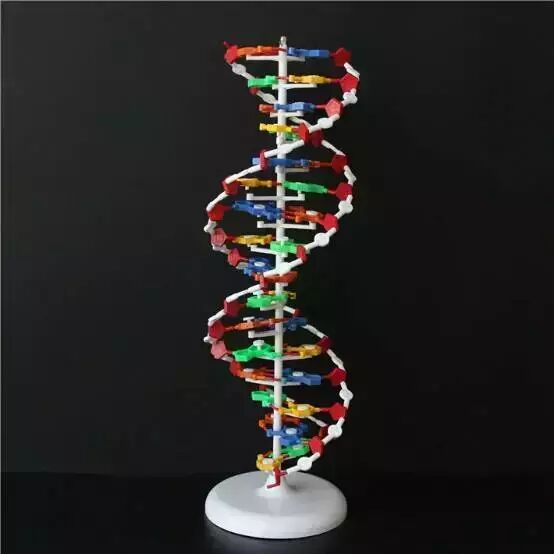 生命科学大模型,生命科学篇