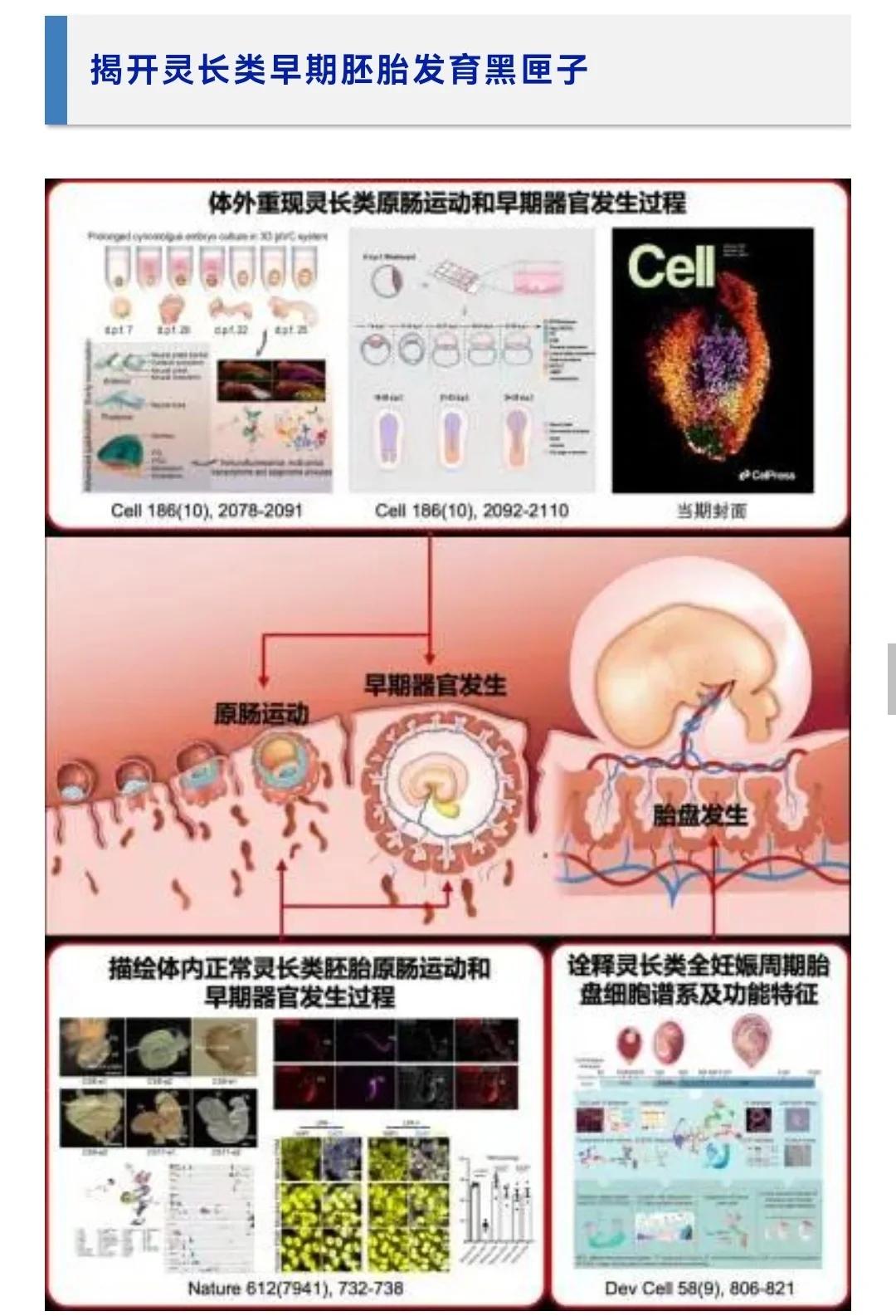 生命科学的重要进展是,生命科学基本概念的演变 生命科学的重要进展是,生命科学基本概念的演变