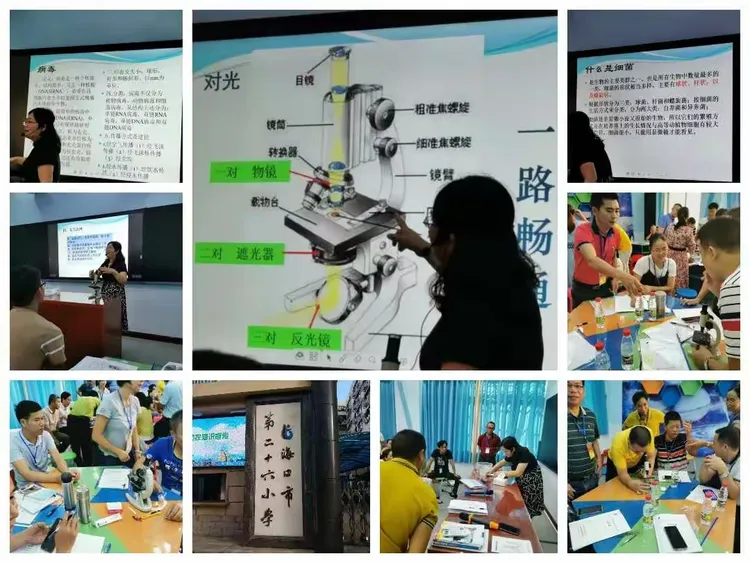 生命科学感言100字,生命科学的100个故事 生命科学感言100字,生命科学的100个故事