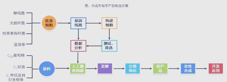 生命科学最新科技前沿,生命科学最新科技前沿期刊 生命科学最新科技前沿,生命科学最新科技前沿期刊