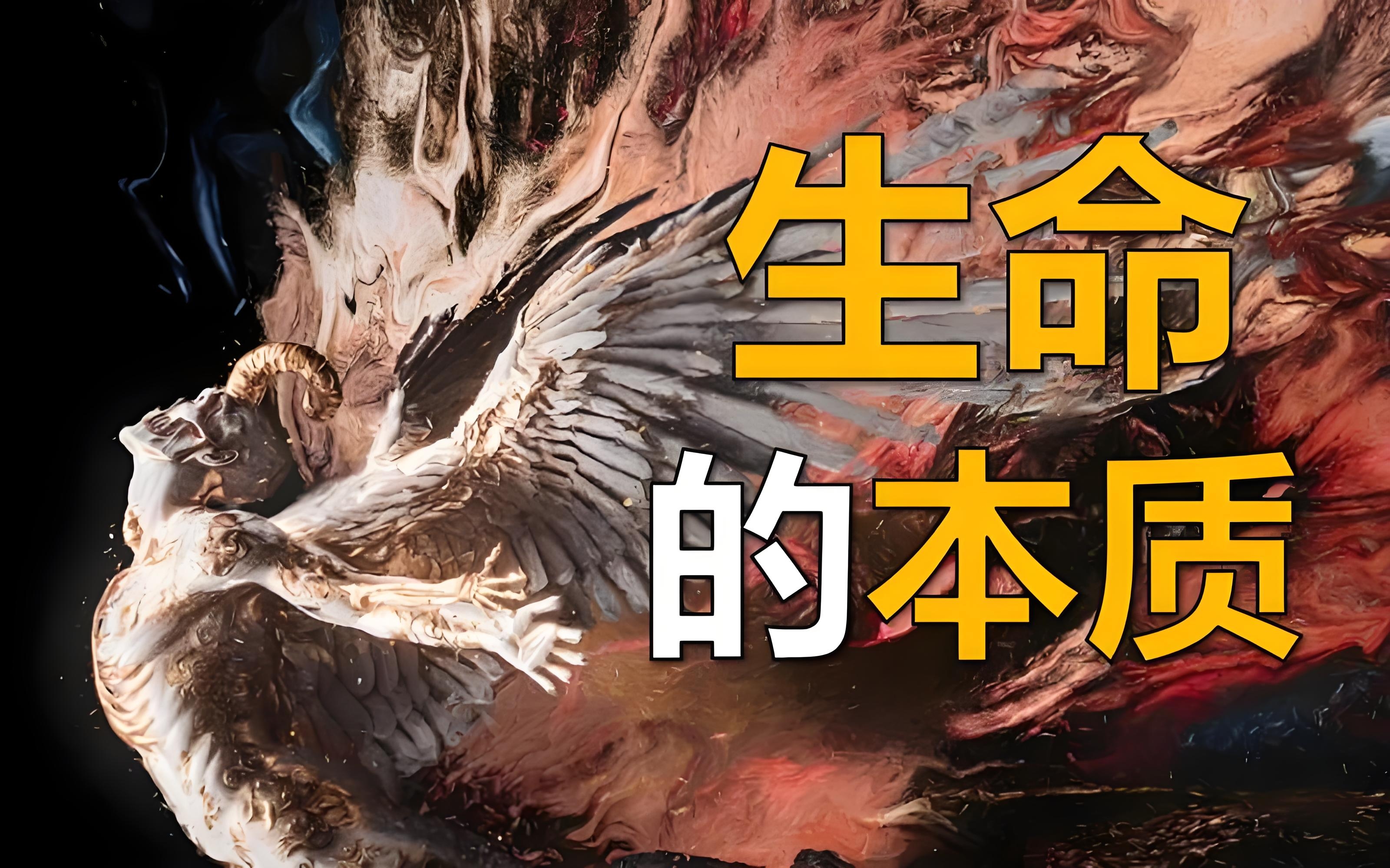 物理生命科学,生物物理学physics 物理生命科学,生物物理学physics