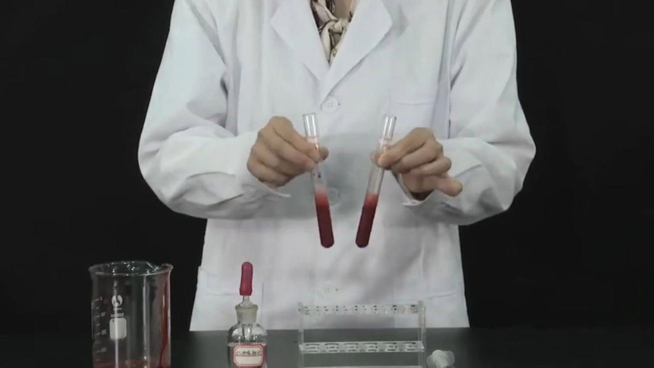 生命科学视频教学,生命科学视频教学完整版