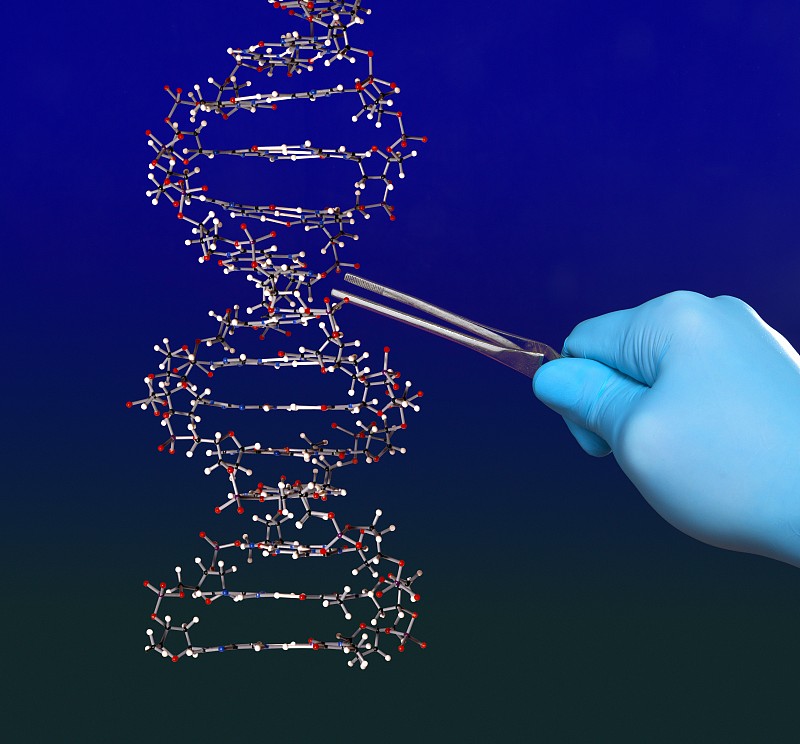 生命科学素材视频下载,生命科学素材视频下载大全