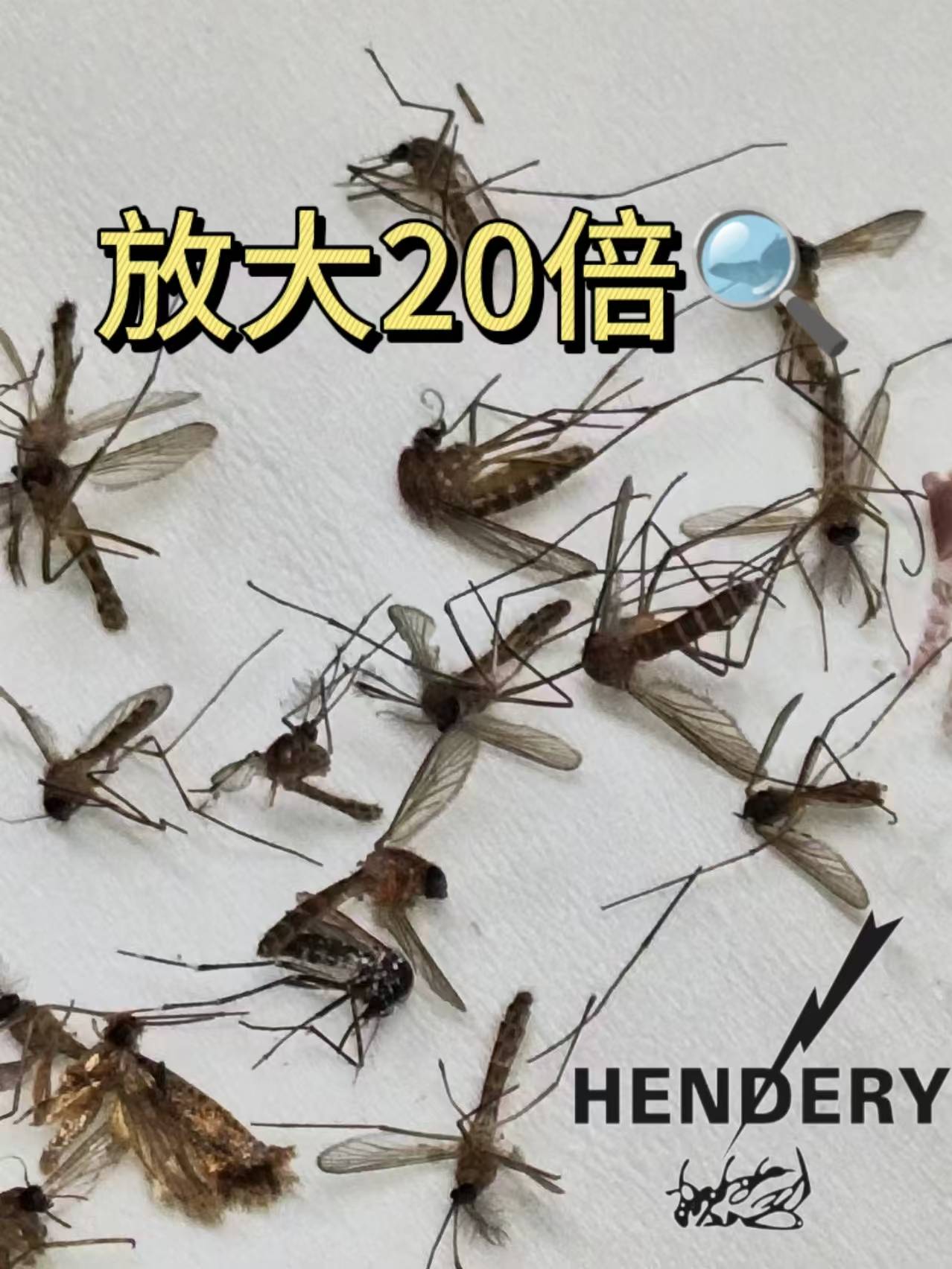世界灭蚊科技前沿,最新灭蚊科技是什么