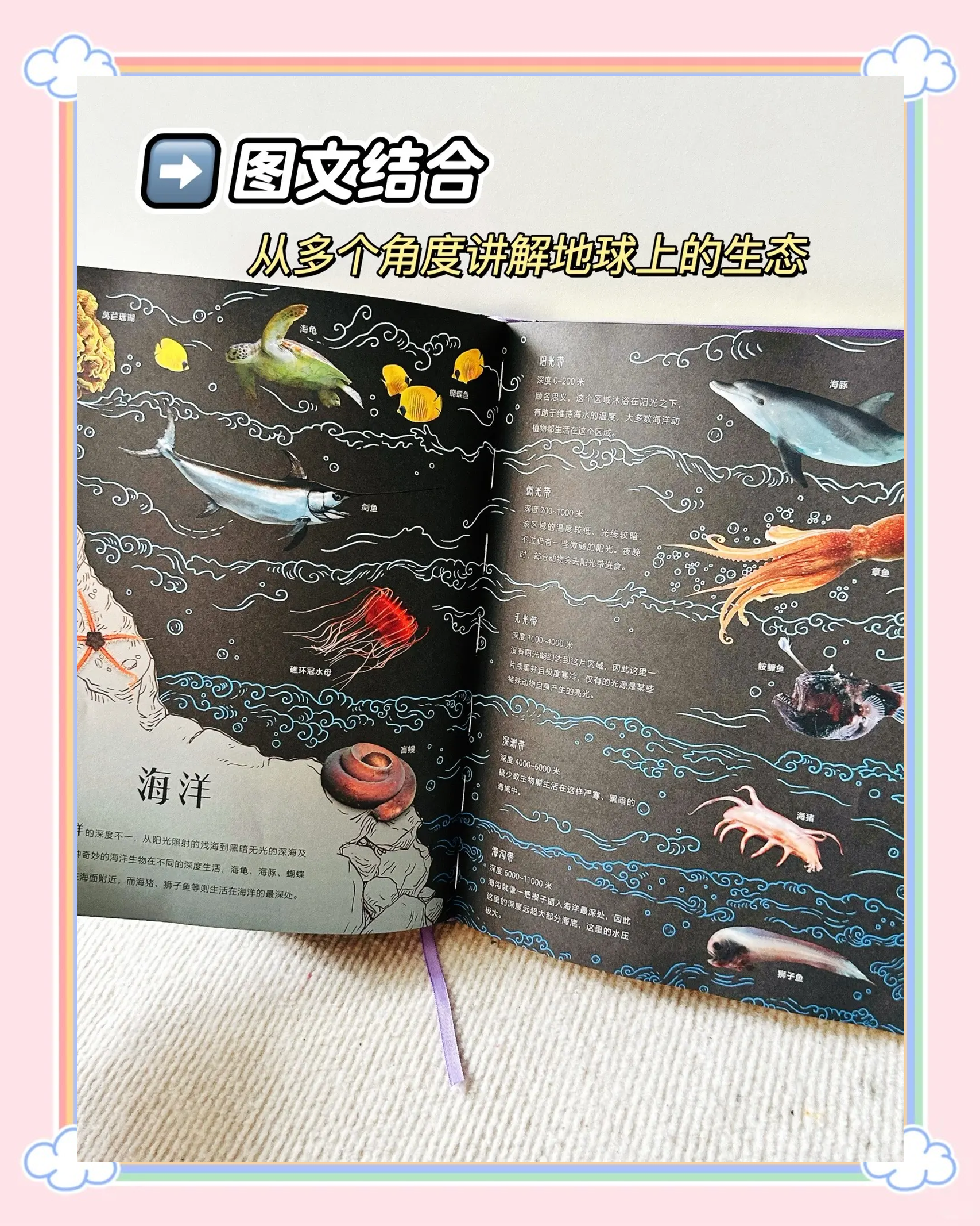 地球科学套装书,地球科学专业教材 地球科学套装书,地球科学专业教材
