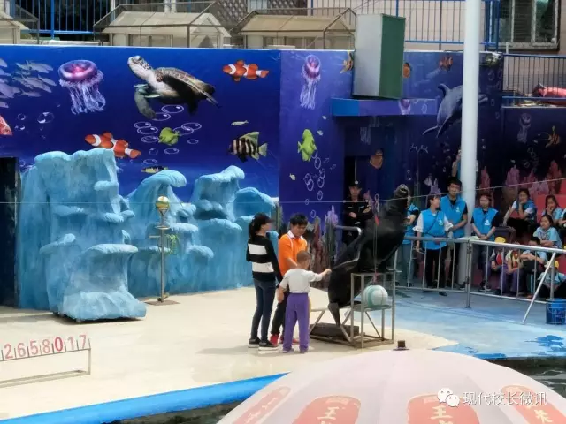 关于大眼睛看世界物理王国的信息