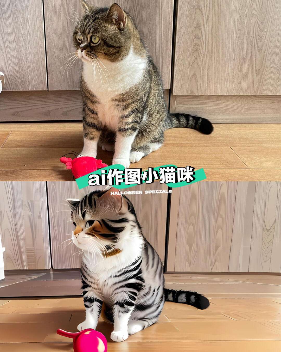点猫科技前沿动态,点猫科技是正规公司吗
