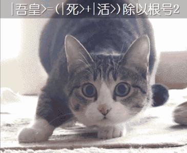 点猫科技前沿动态,点猫科技是正规公司吗 点猫科技前沿动态,点猫科技是正规公司吗