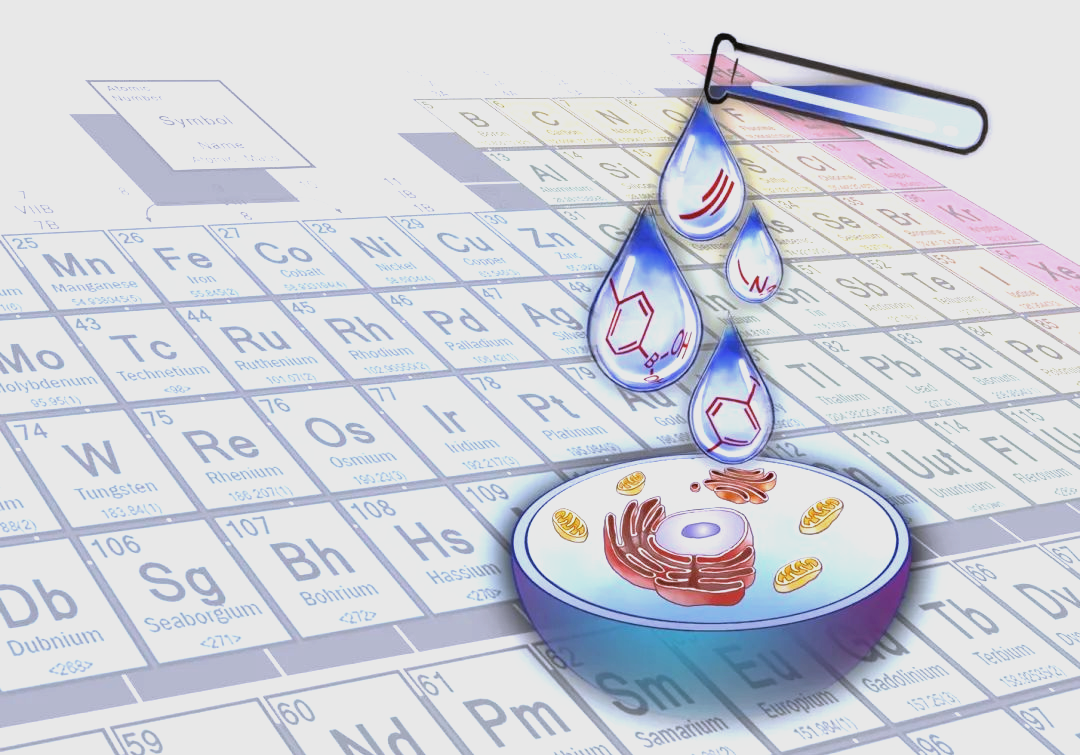化学科技前沿新成果,2019化学前沿科技成果