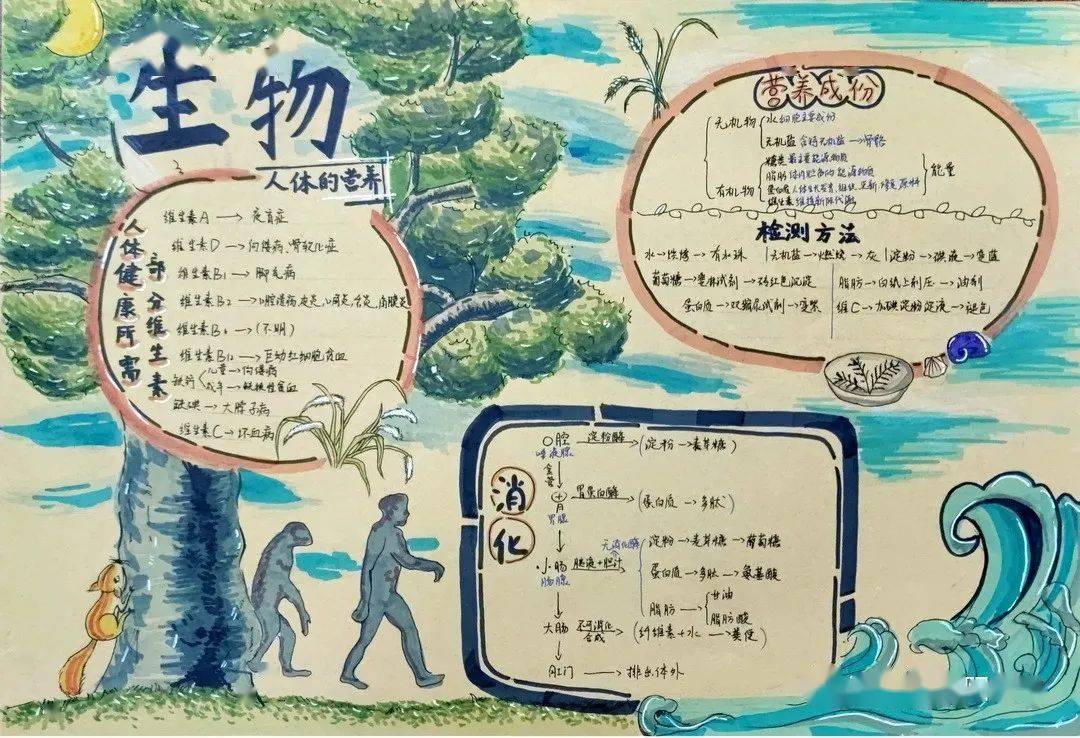 生命科学主题怎么画,生命科学插图从入门到精通 生命科学主题怎么画,生命科学插图从入门到精通