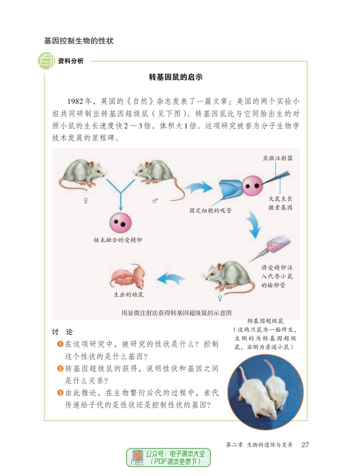 猫捉老鼠生命科学解释,猫捉老鼠是因为老鼠体内含有什么物质 猫捉老鼠生命科学解释,猫捉老鼠是因为老鼠体内含有什么物质