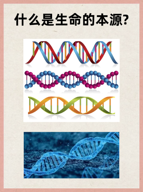 生命科学DNA的本质,生命科学dna的本质特征