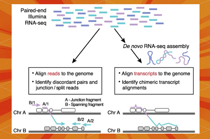 生命科学rna,生命科学学院教师名单