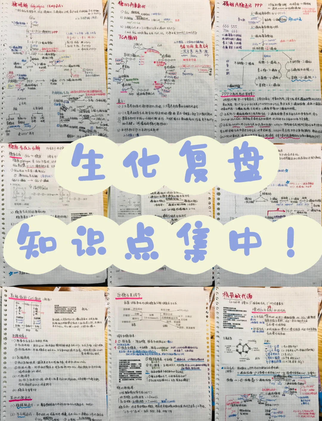生命科学的投研笔记,生命科学研究是什么级别期刊