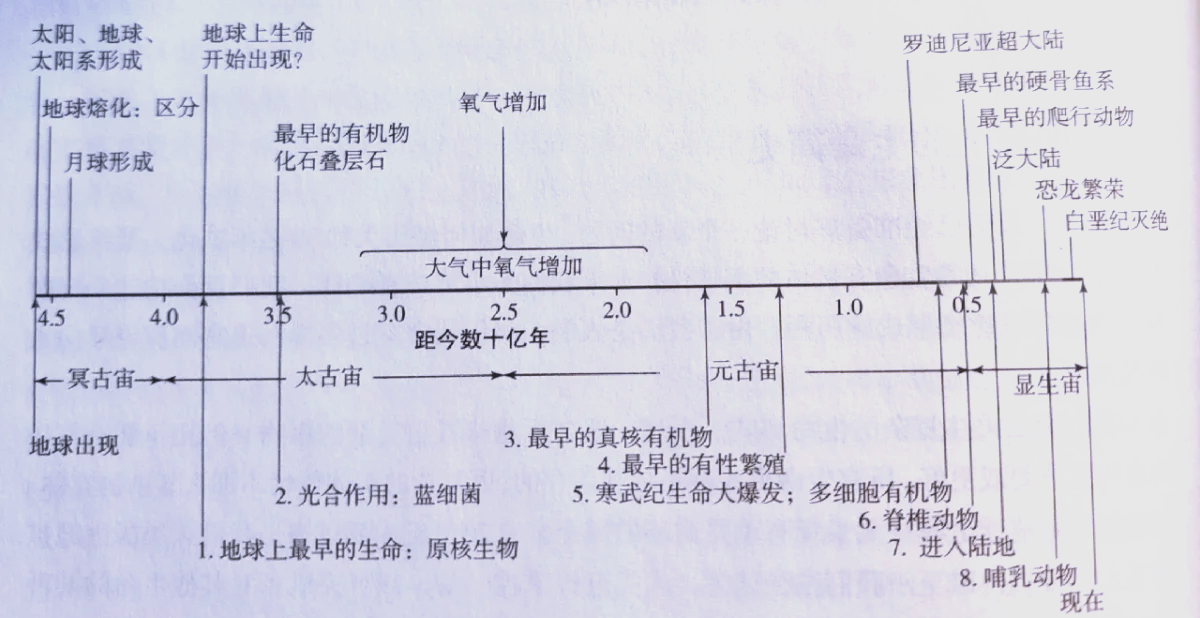 生命简史和生命科学史,生命简史和生命科学史的区别