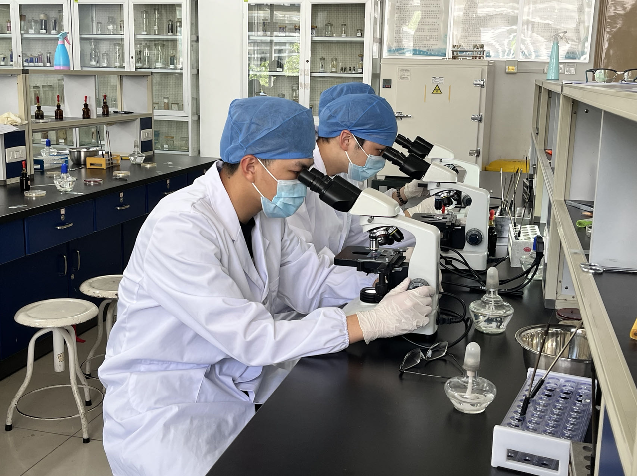 柏林自由大学地球科学,柏林自由大学本科专业设置情况
