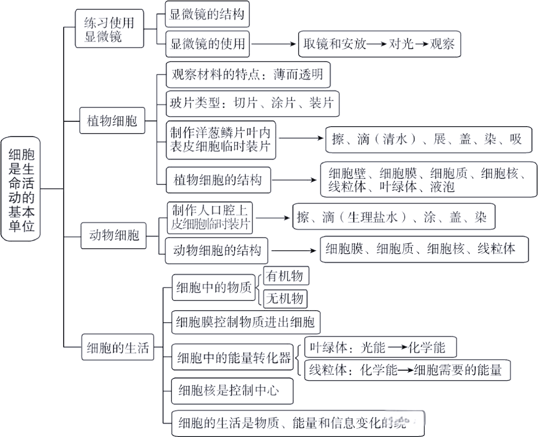 生命科学学科体系,生命科学属于哪个学科门类