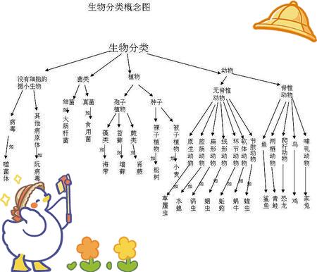 生命科学学科体系,生命科学属于哪个学科门类