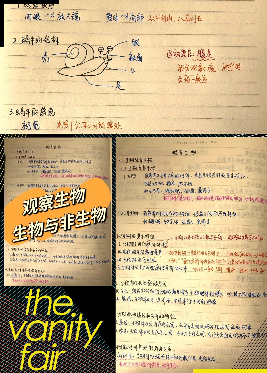 谈谈对生命科学的看法,生命科学对人类发展的贡献 谈谈对生命科学的看法,生命科学对人类发展的贡献
