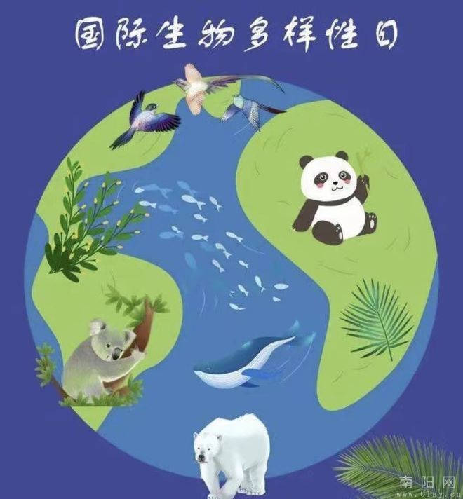 小班生命科学教案标题,幼儿园中班科学健康教学计划