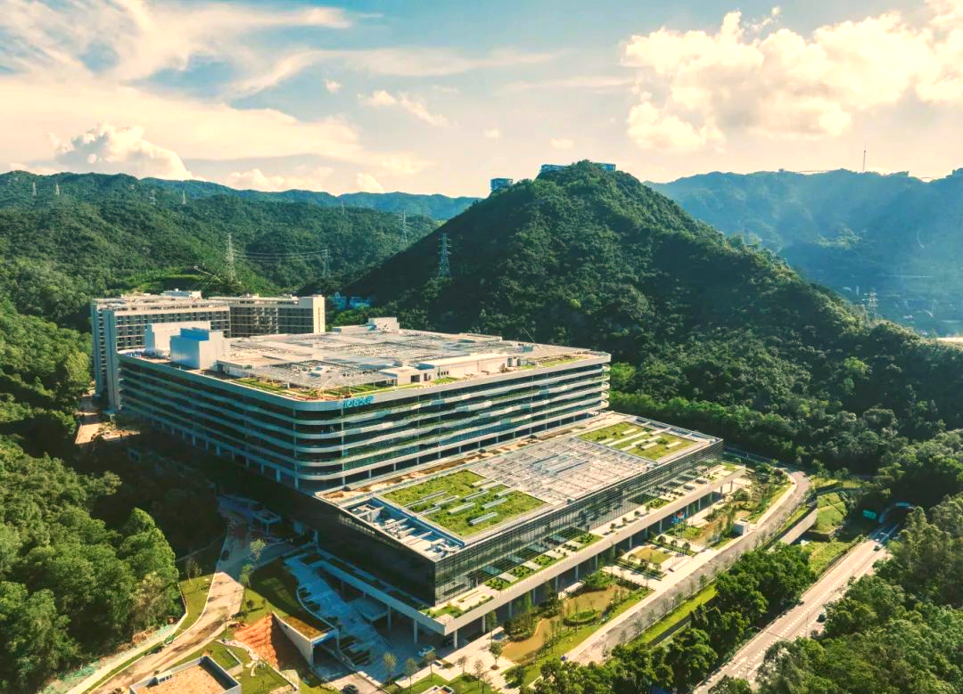 华大基因生命科学研究,华大基因生命科学研究院基因密码子扩展负责人秦学文