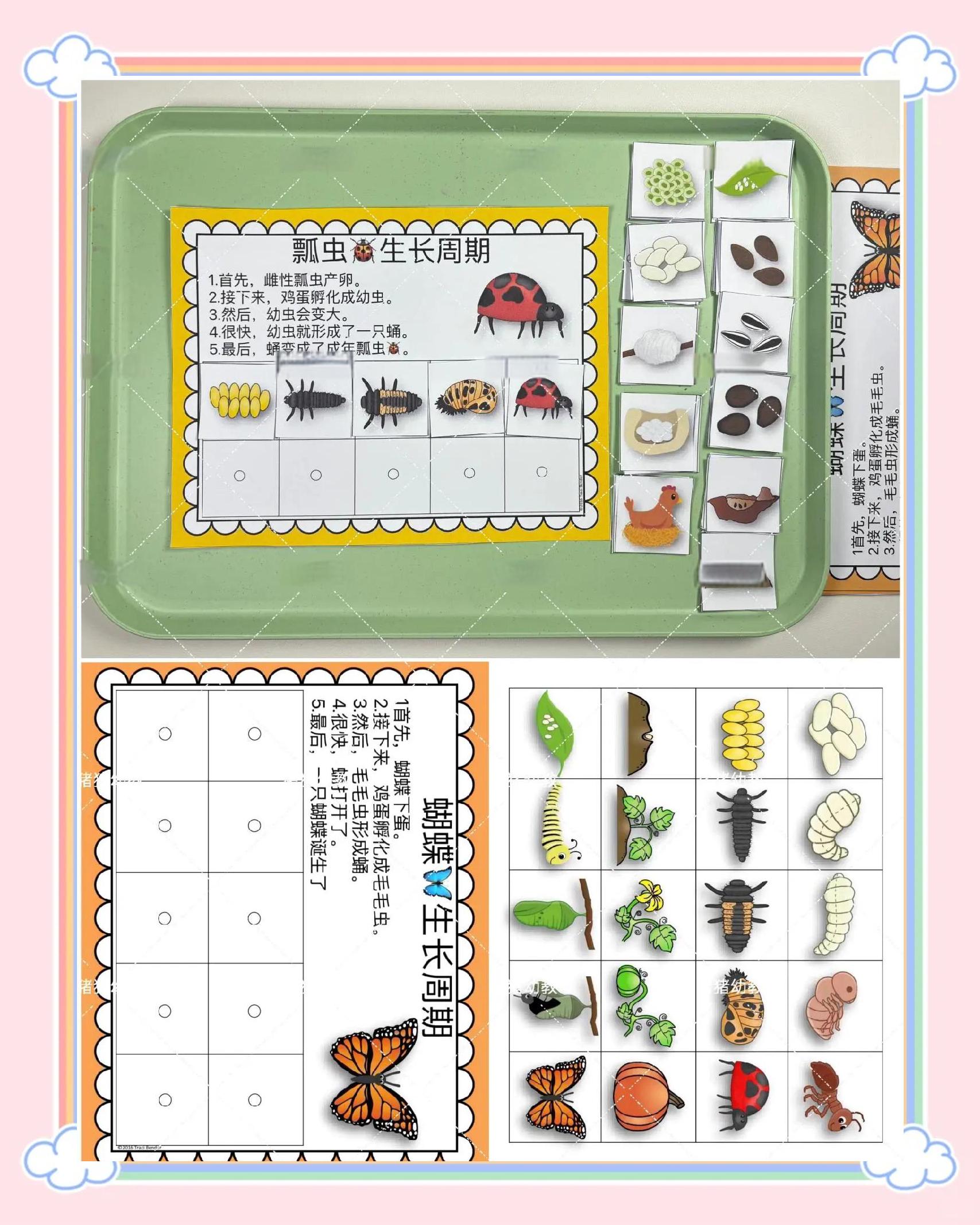 生命科学自我探索方式,生命科学自我探索方式是什么