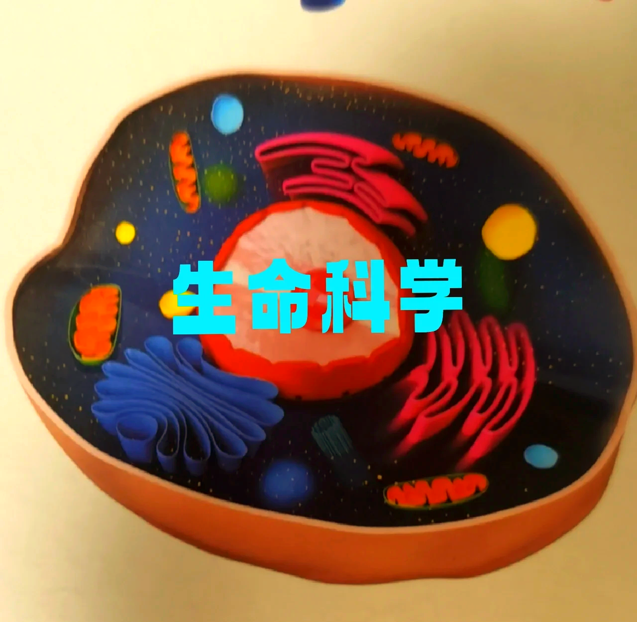 生命科学自我探索方式,生命科学自我探索方式是什么