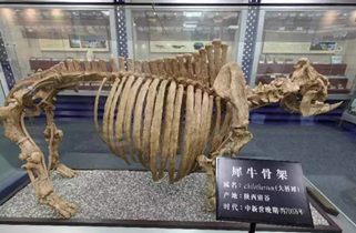 参观地球科学馆的目的,参观地球科学馆的目的怎么写