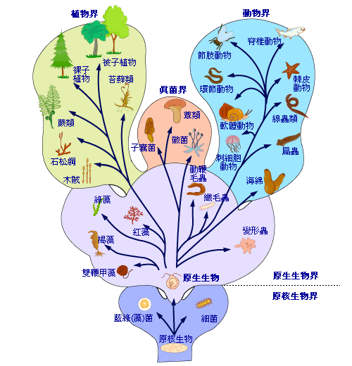 生命科学如何考A,生命科学 考编有啥岗位