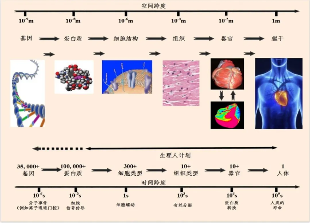 生命科学数学化,生命科学最厉害三个老师 生命科学数学化,生命科学最厉害三个老师