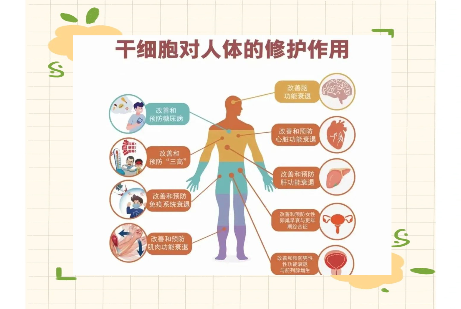 生命科学与西医的区别,生命科学与其他领域的区别 生命科学与西医的区别,生命科学与其他领域的区别