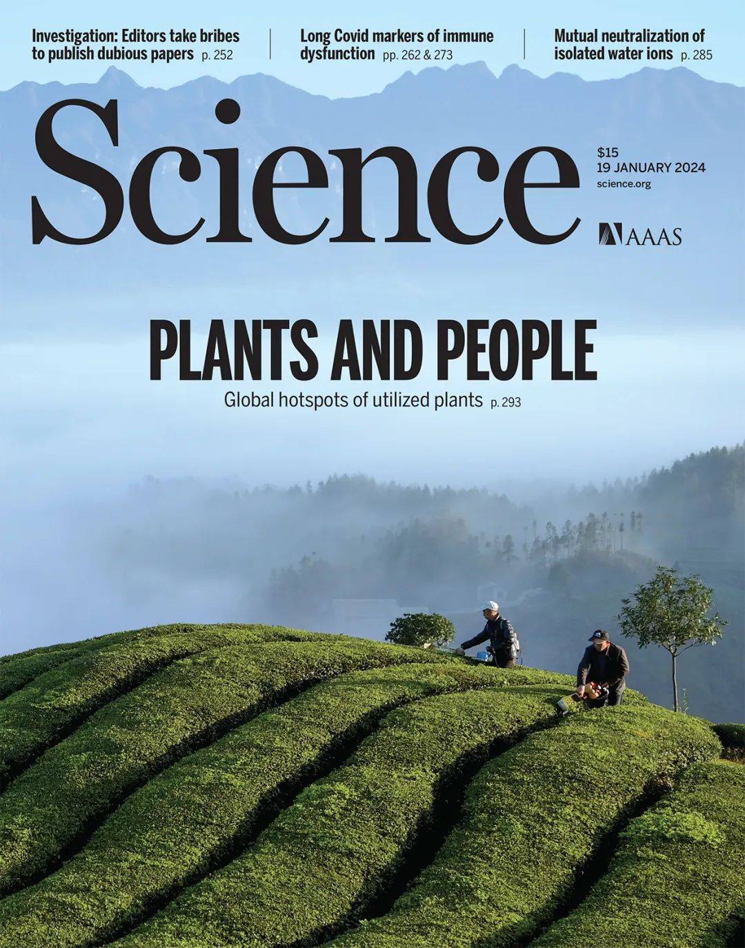 地球科学研究的主题,地球科学研究的主题包括