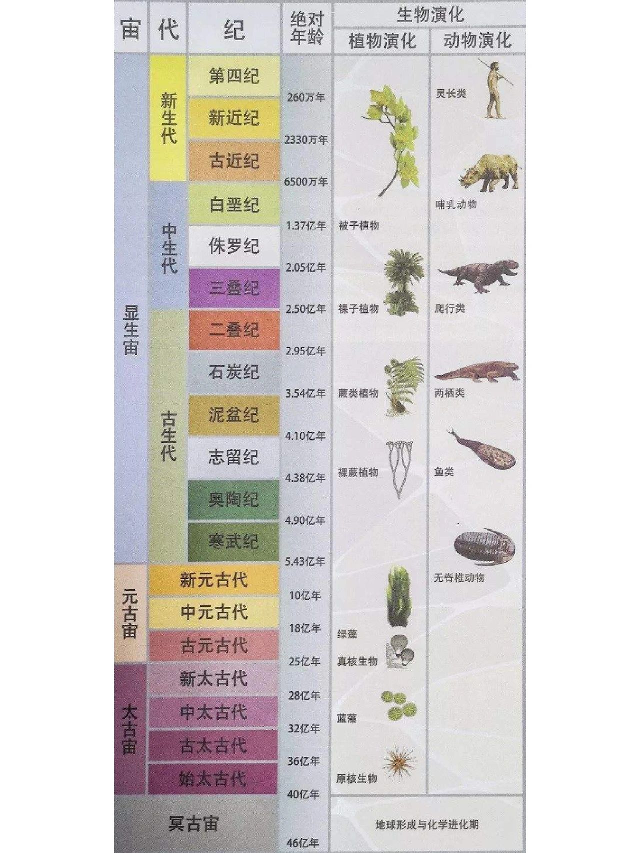 地球科学历史动画,地球科学海报三年级