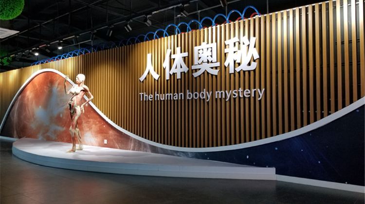 洪兰生命科学馆,洪兰老师从科学实证中谈孩子