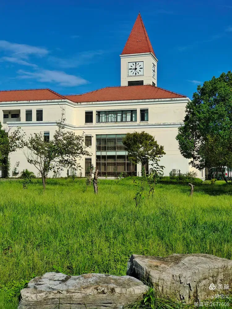 上海师范大学生命科学,上海师范大学生命科学学院有哪些专