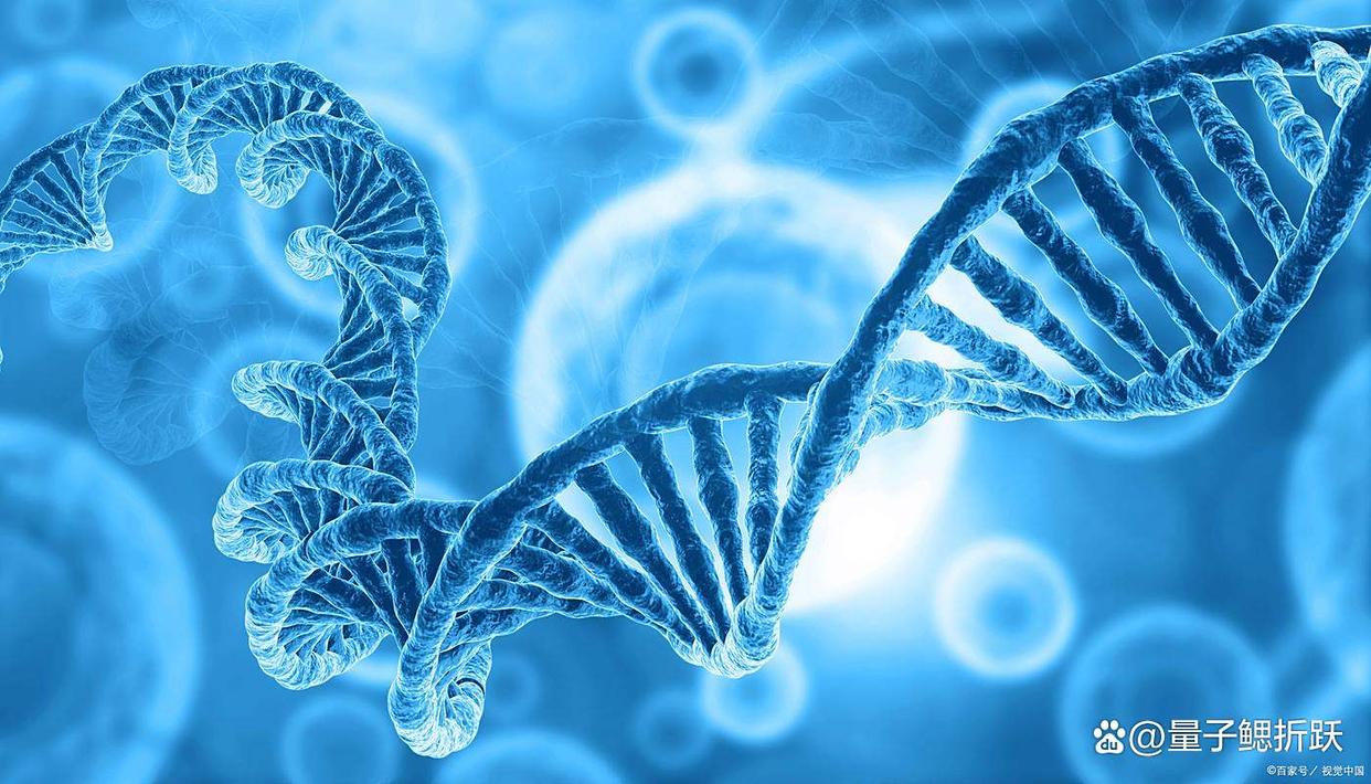 对生命科学的认知,对生命科学的认知和理解