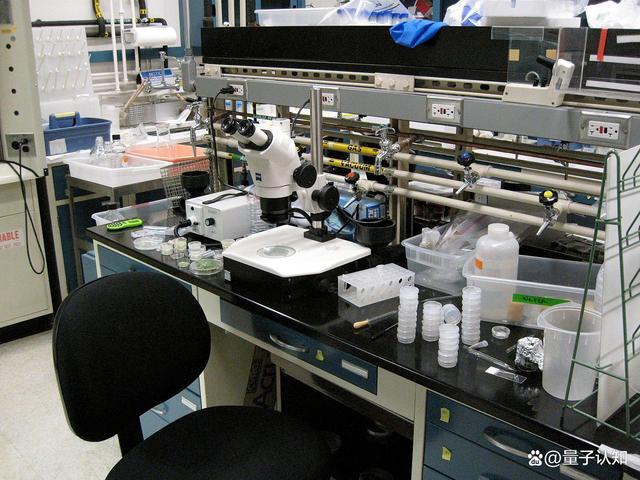 费曼生命科学,费曼科学家所有照片