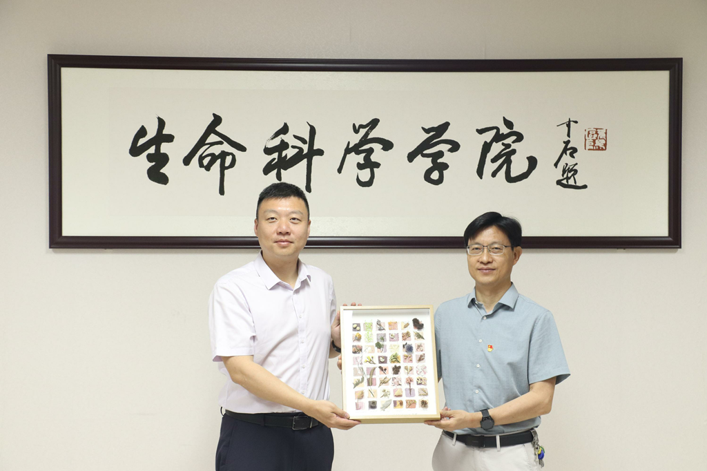 生命科学学院班主任,生命科学学院班主任招聘