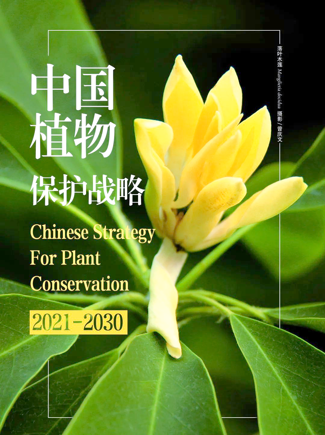 植物保护科技前沿,植物保护与检疫前景 植物保护科技前沿,植物保护与检疫前景