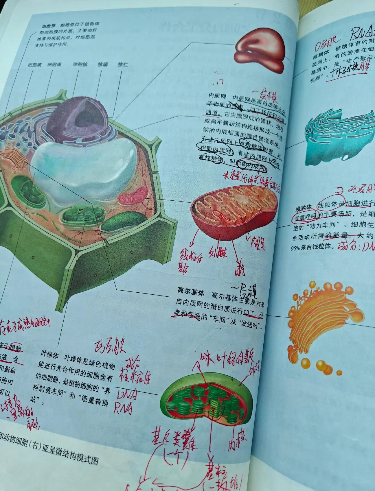 生命科学之最,生命科学最新发现