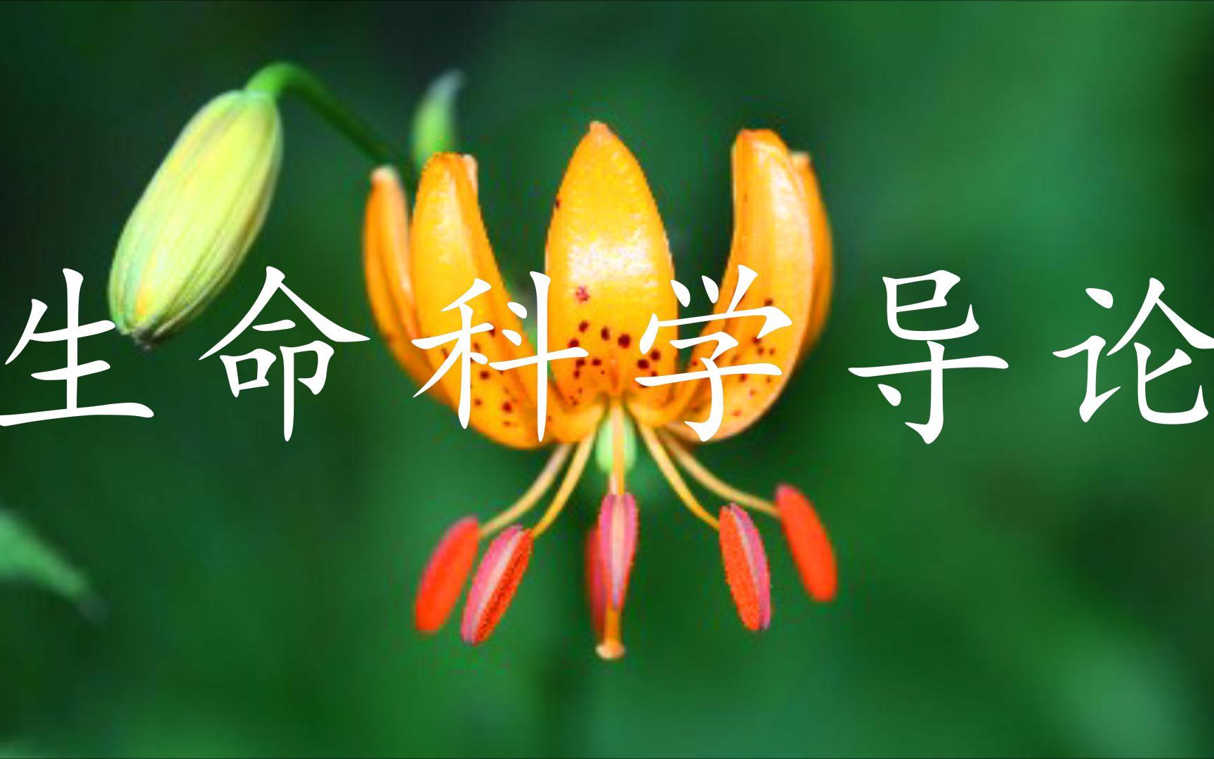 生命科学导论考研,生命科学导论考研难吗